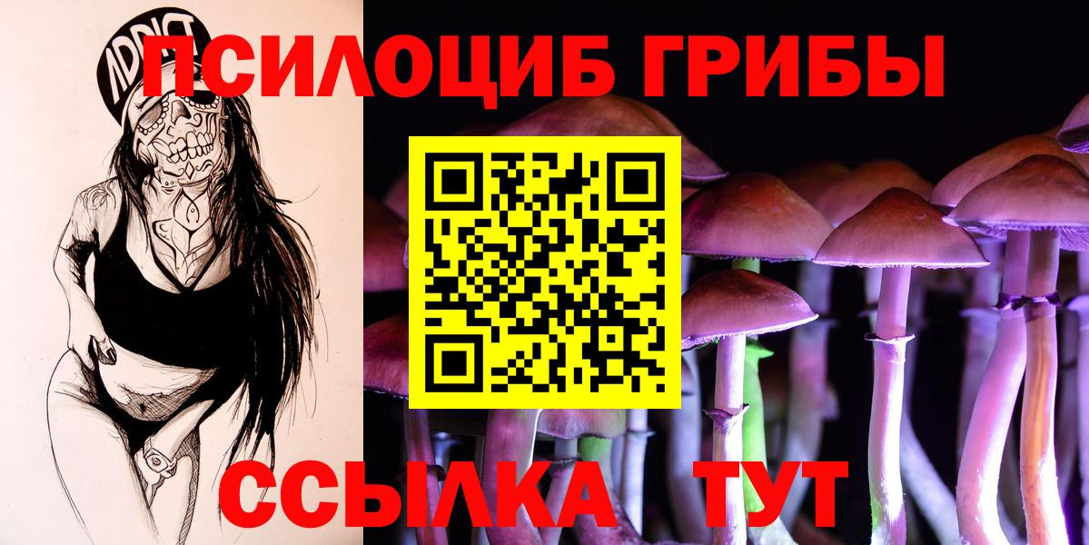 Псилоцибиновые грибы Magic Shrooms Гурьевск